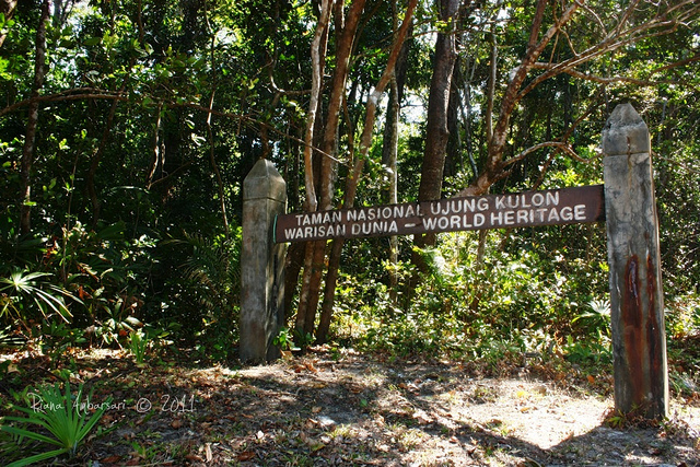 Buruknya Akses Jalan Menuju Taman  Nasional  Ujung  Kulon  
